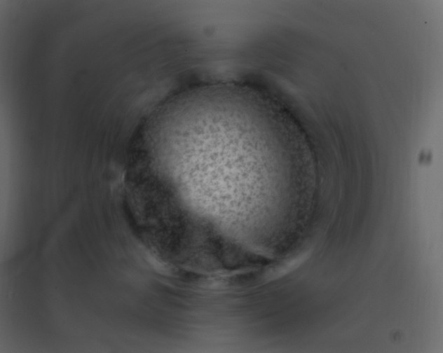 X0000094940624200712131601