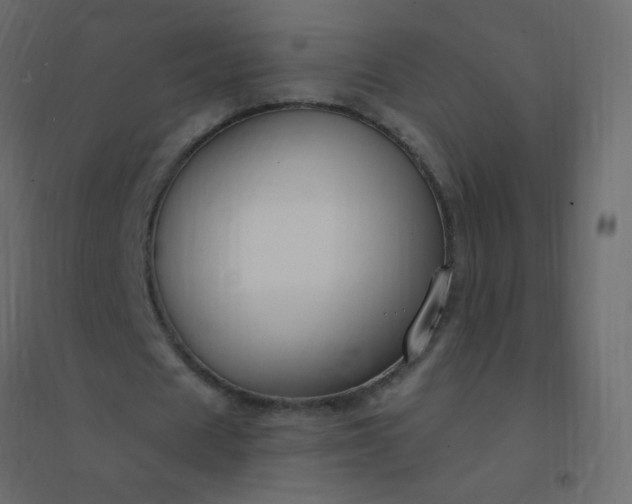 X0000094940625200712131600