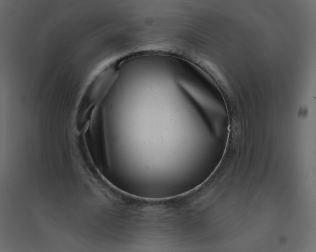 X0000094940628200712131600