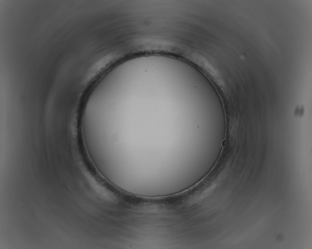 X0000094940629200712131600