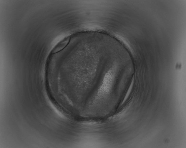 X0000094940630200712131600