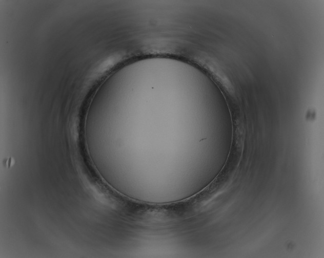 X0000094940631200712131601