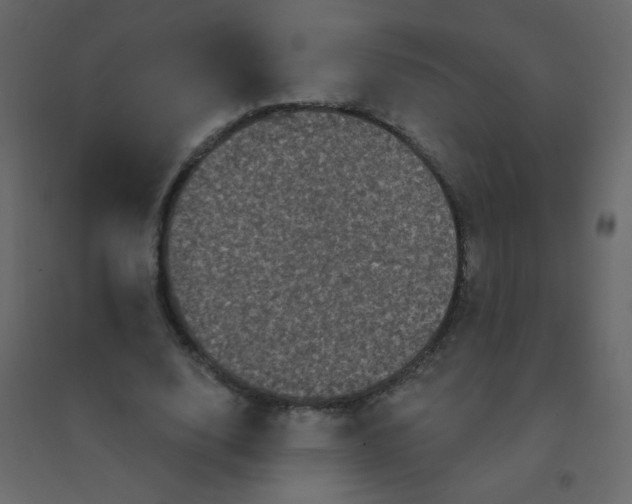 X0000094940632200712131601