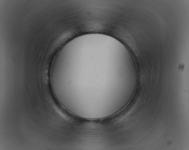 X0000094940633200712131601