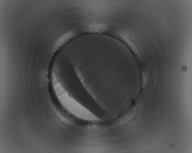 X0000094940634200712131601