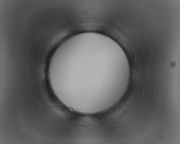 X0000094940635200712131601