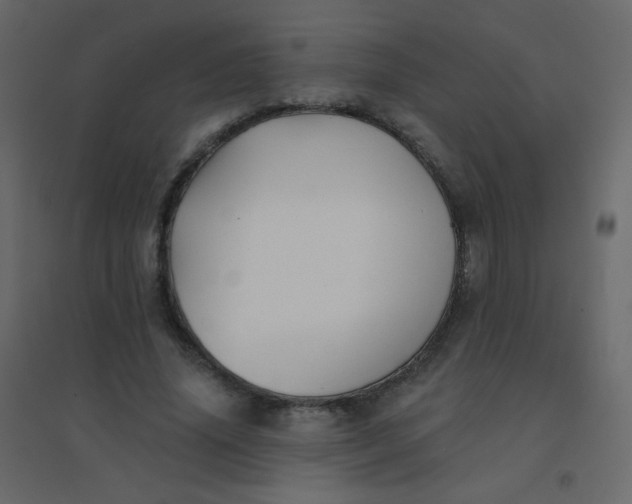 X0000094940636200712131601