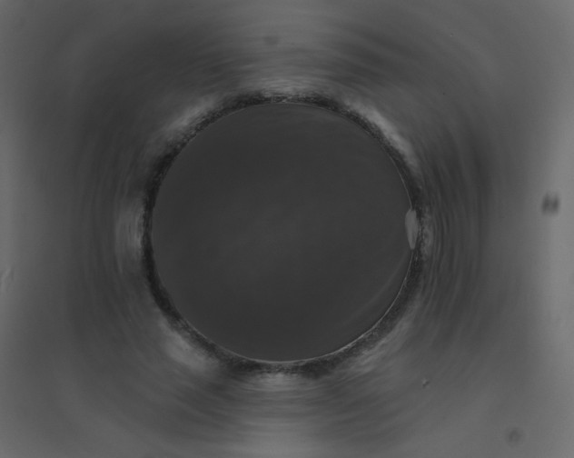 X0000094940637200712131601