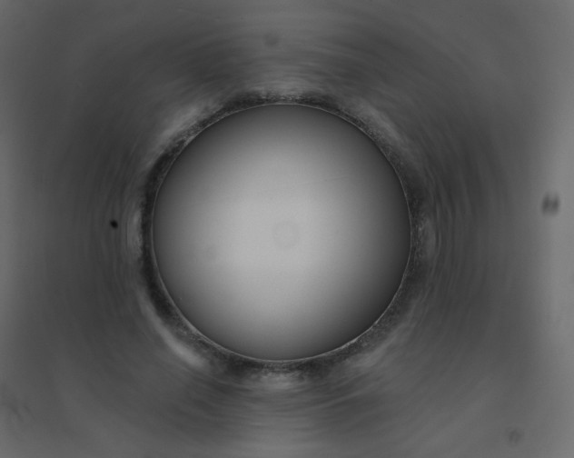 X0000094940638200712131601