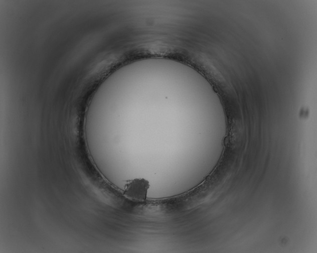 X0000094940639200712131601