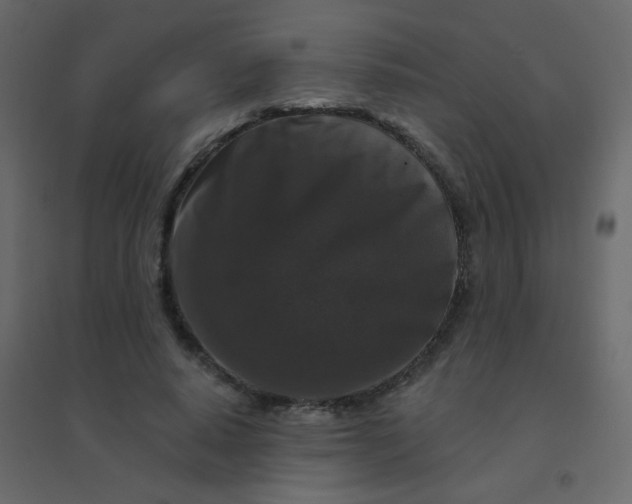 X0000094940640200712131601