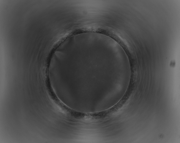 X0000094940641200712131601