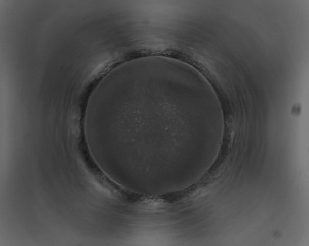 X0000094940642200712131601