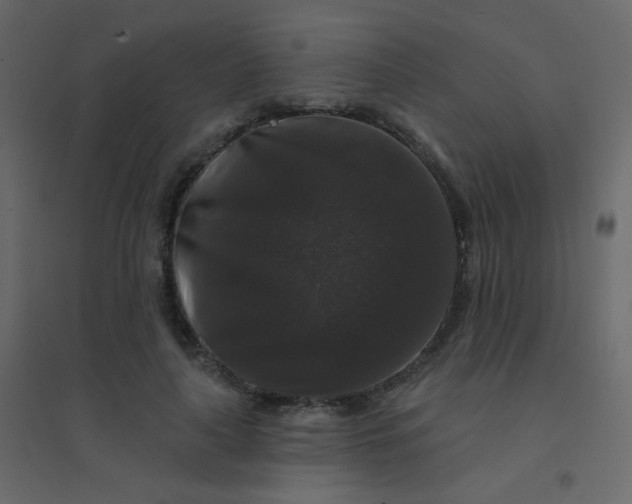 X0000094940643200712131601