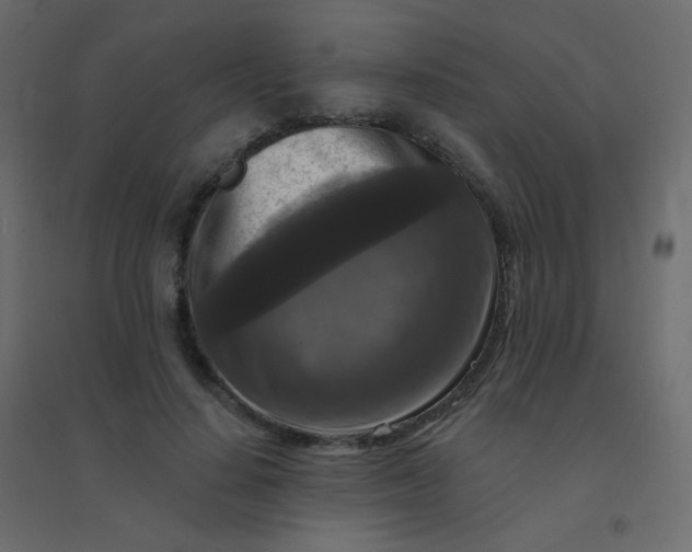 X0000094940644200712131601