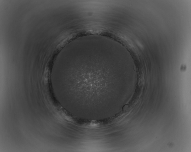 X0000094940647200712131601