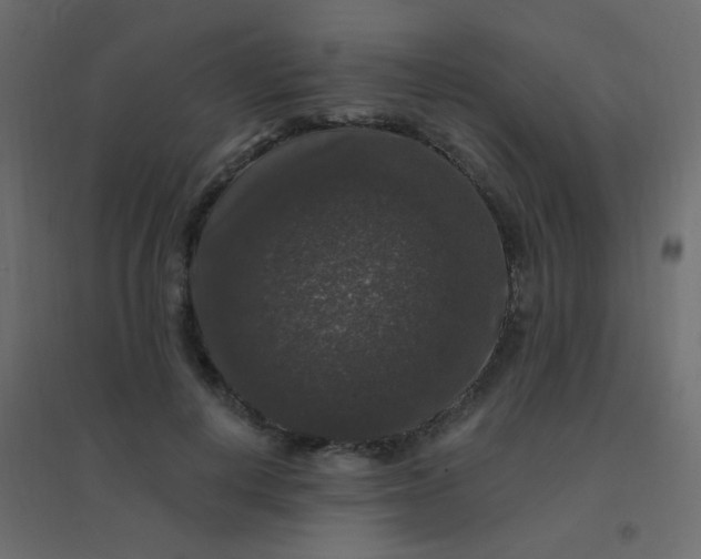 X0000094940648200712131601