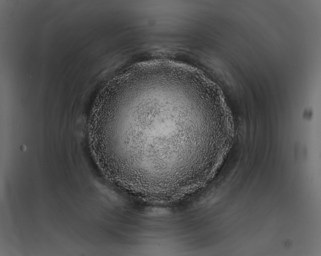 X0000094940649200712131601