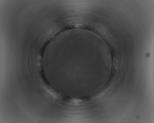 X0000094940650200712131601