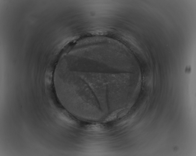 X0000094940652200712131601