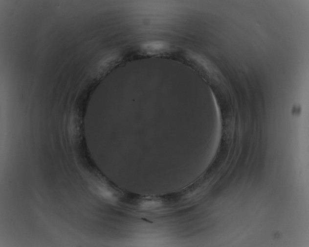 X0000094940653200712131601