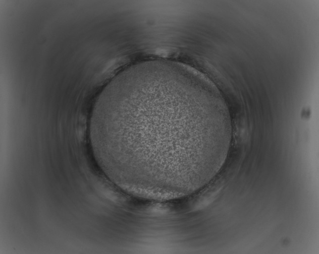 X0000094940656200712131601