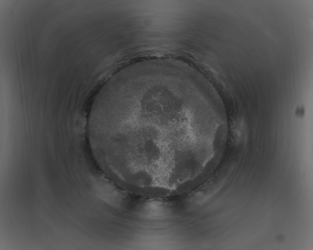 X0000094940657200712131601