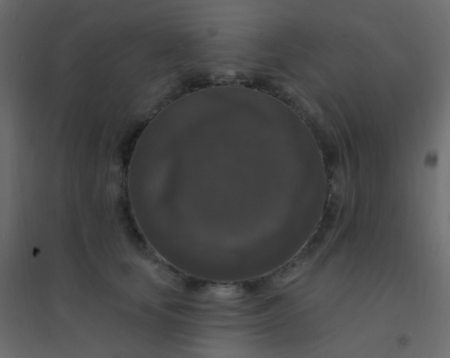 X0000094940659200712131601