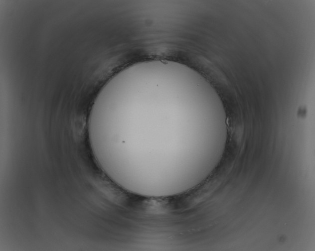 X0000094940660200712131601