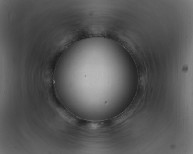 X0000094940662200712131601