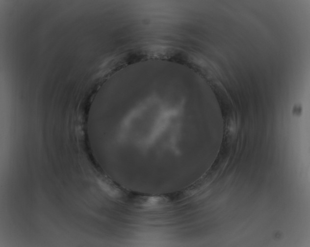 X0000094940663200712131601