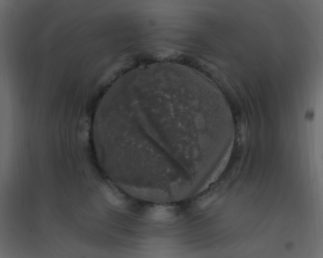 X0000094940664200712131601