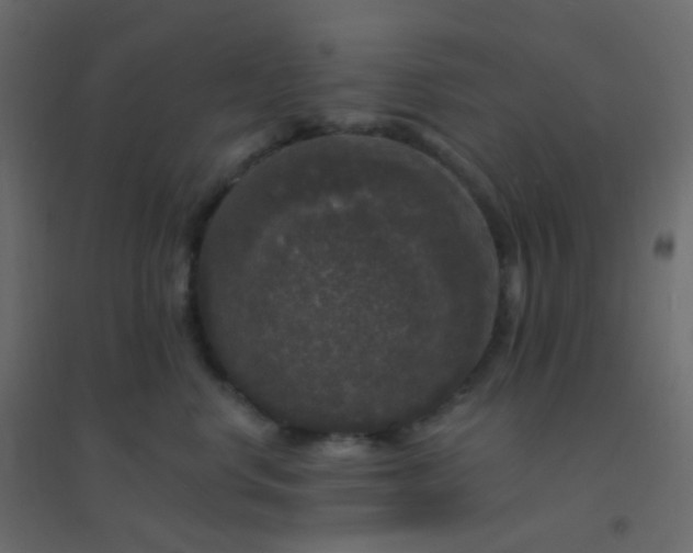 X0000094940668200712131601