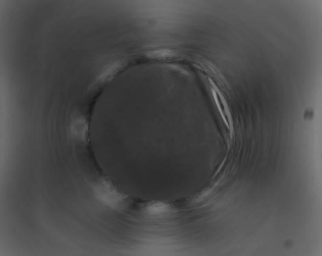 X0000094940669200712131601