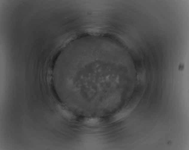 X0000094940671200712131601