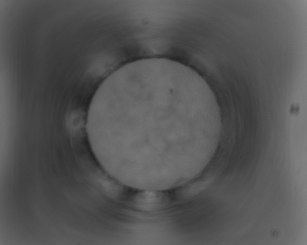 X0000094940672200712131601