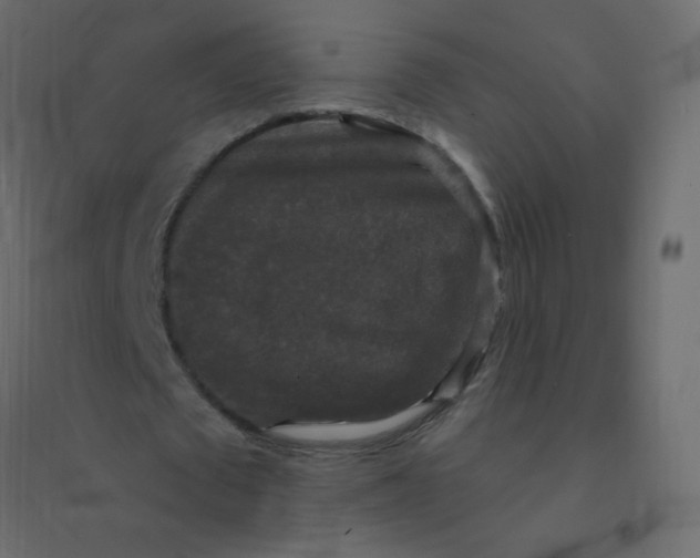 X0000094940673200712131600