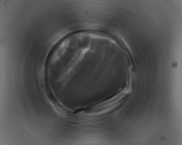 X0000094940674200712131600