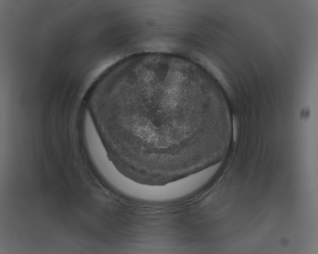 X0000094940675200712131600