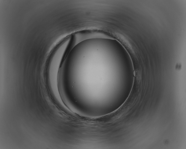 X0000094940676200712131600