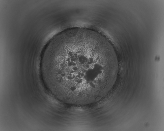 X0000094940679200712131600