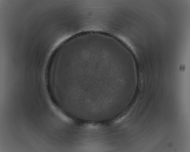 X0000094940680200712131600