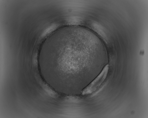 X0000094940681200712131600