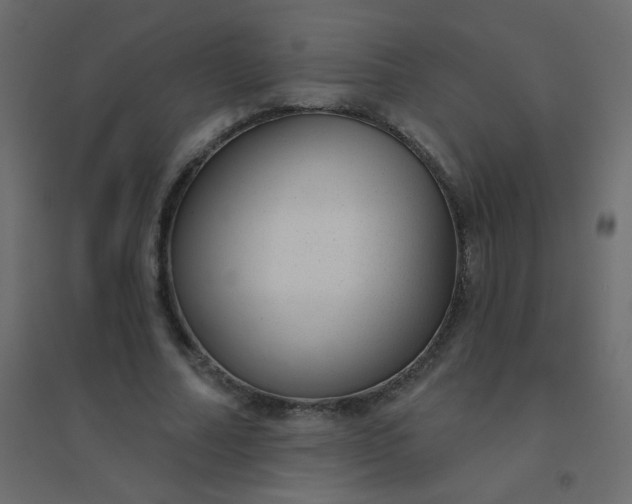 X0000094940682200712131600