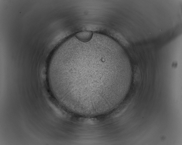 X0000094940683200712131600