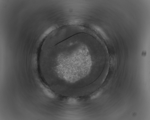 X0000094940684200712131600