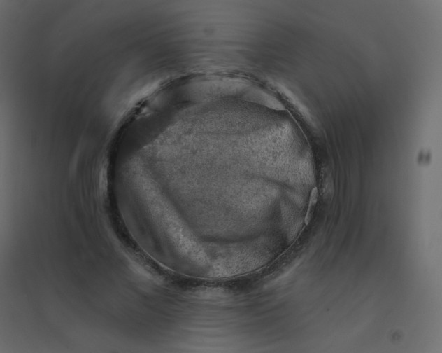 X0000094940685200712131600