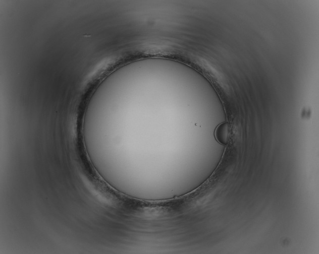 X0000094940686200712131600