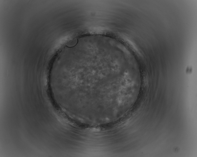 X0000094940687200712131600