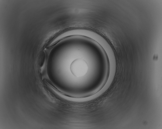 X0000094940688200712131600